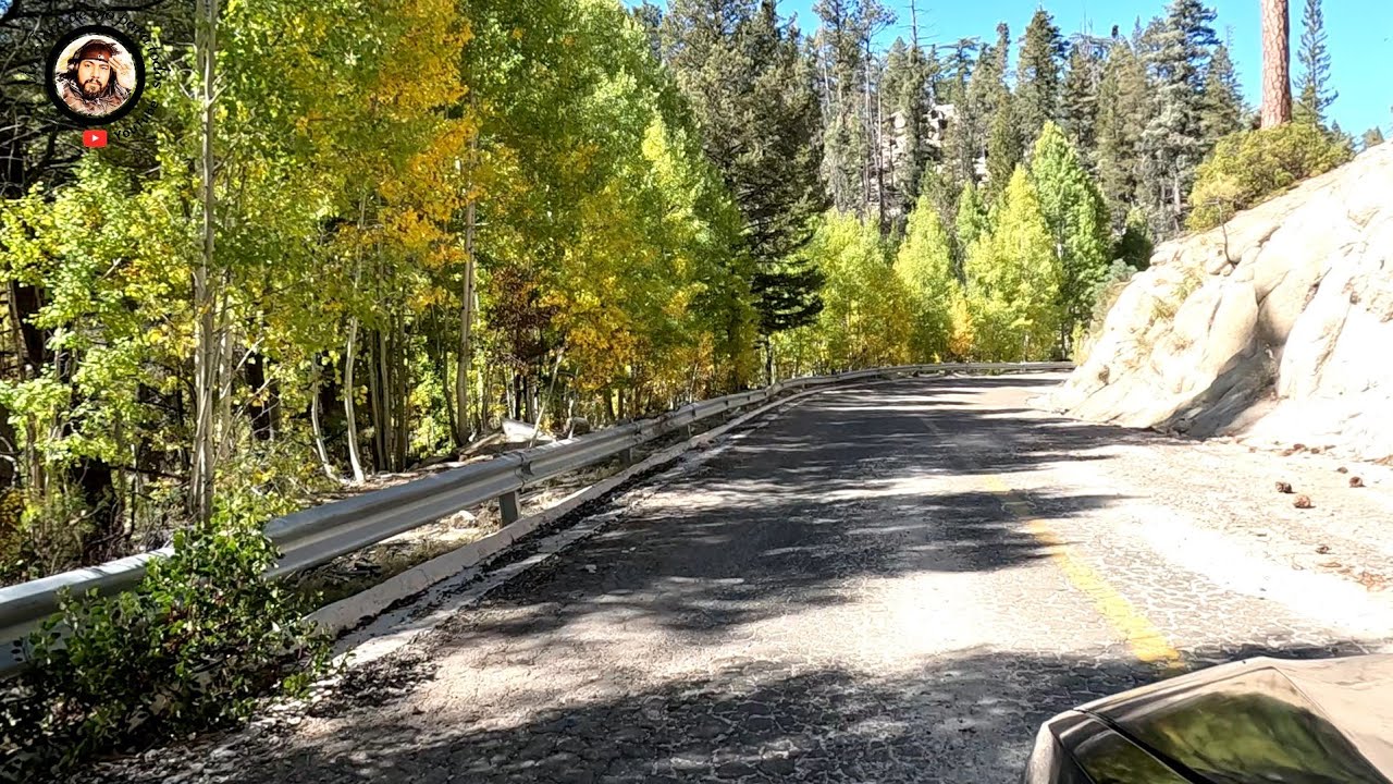 Recorriendo el parque de la  Sierra San Pedro Mártir rumbo al observatorio.