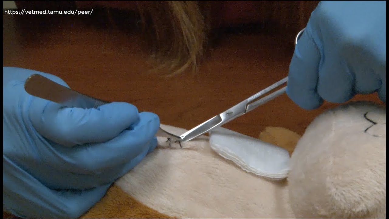 How to Perform a Suture Removal