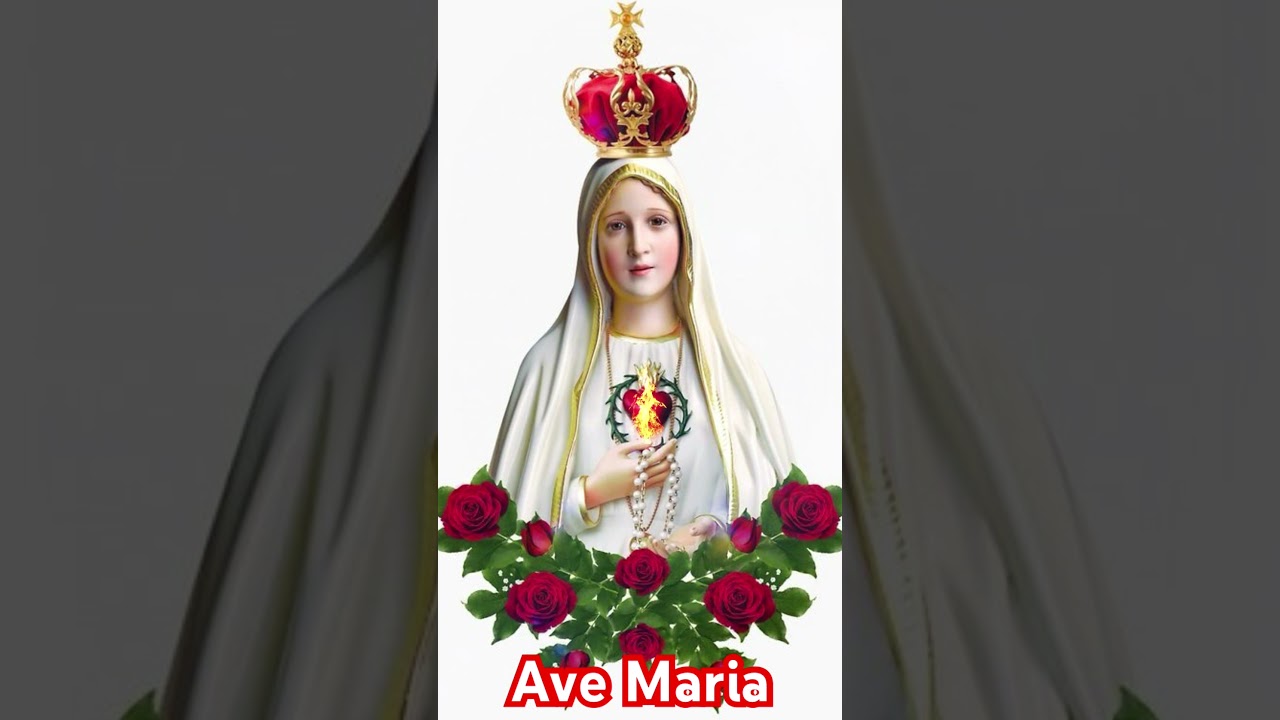 Ave Maria#avemaria#thanhca #thanghoadangme
