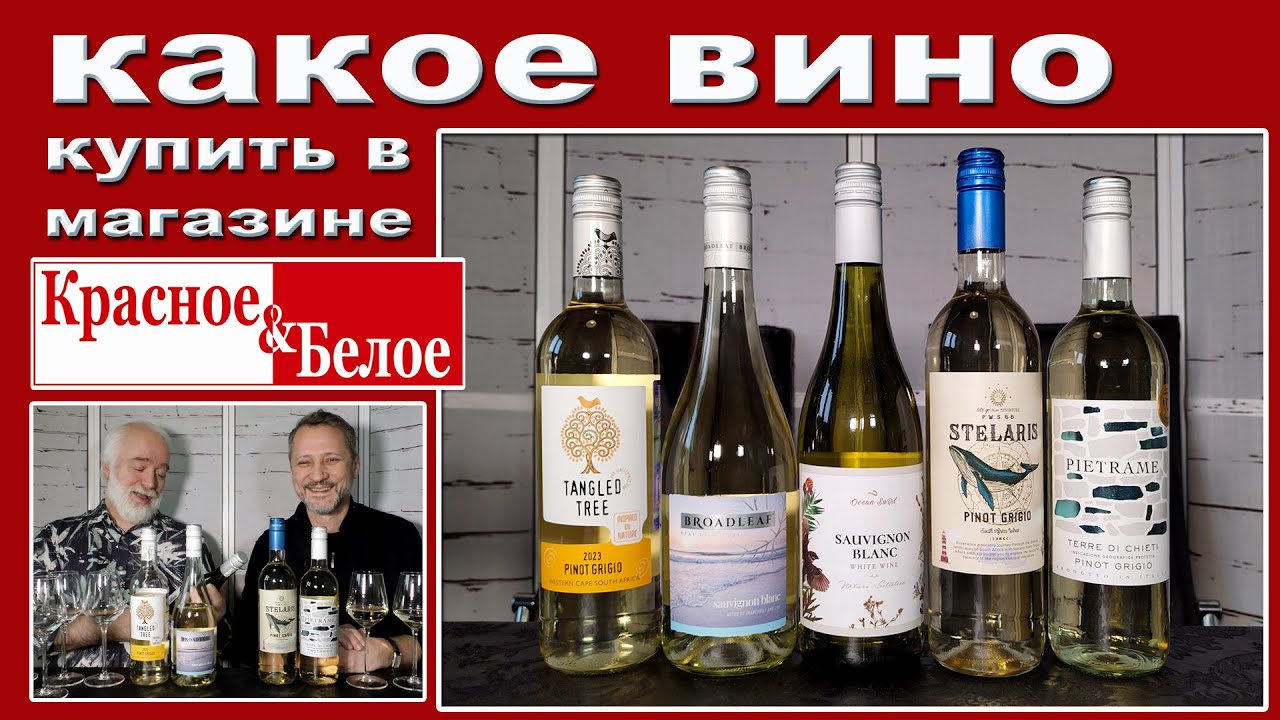 Какое вино купить в магазине 