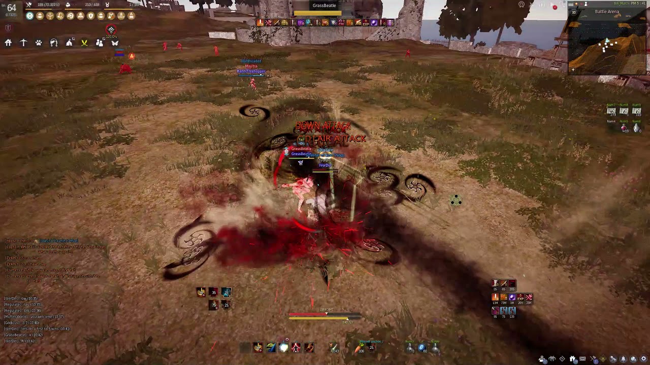 BDO PVP striker vs Ninja 1v1