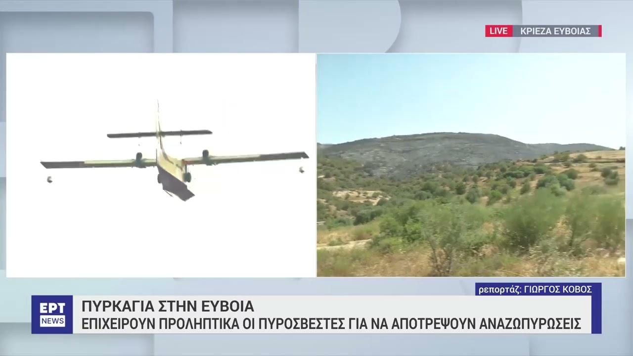Εύβοια: Χωρίς ενεργό μέτωπο η φωτιά – Καταστροφές σε καλλιέργειες και υποδομές αφήνει πίσω|30/7/24