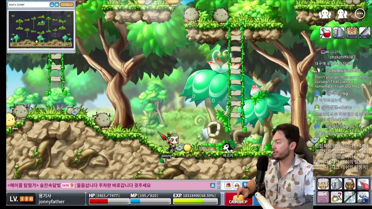 MapleStory Relaxing Dragon Knight Grind. 편안한 용기사육성방송.