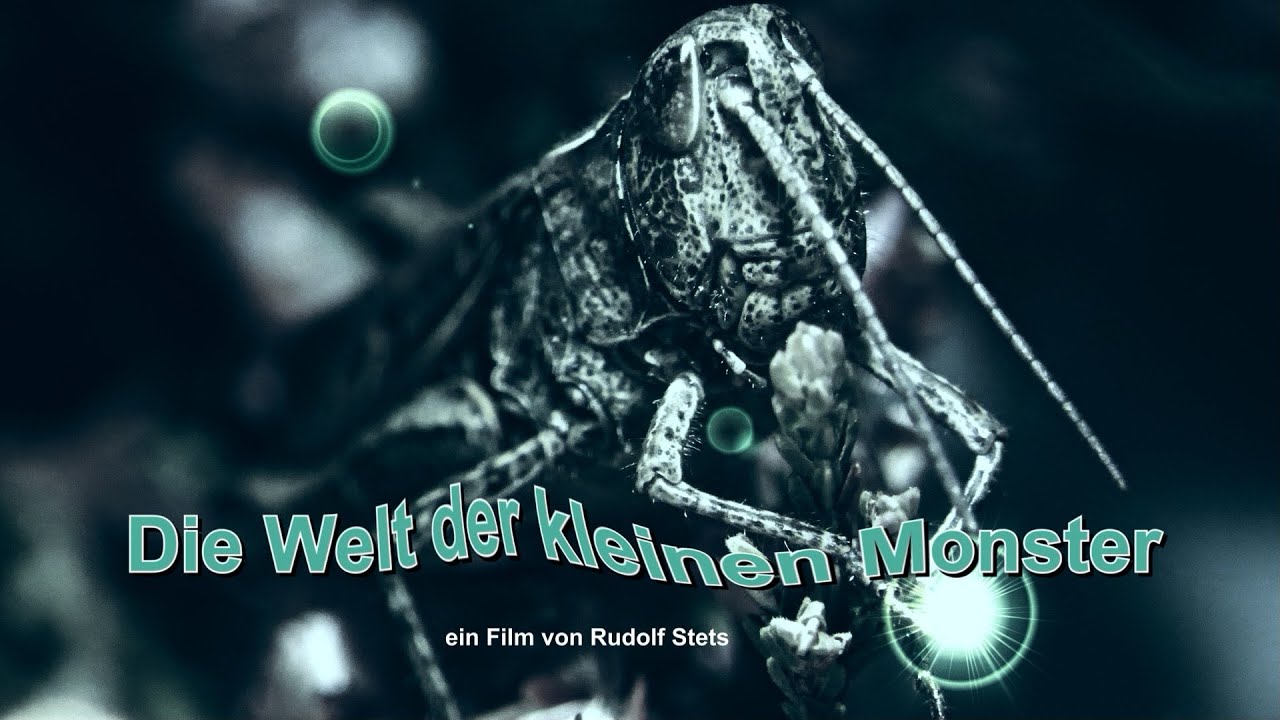 Die Welt der kleinen Monster