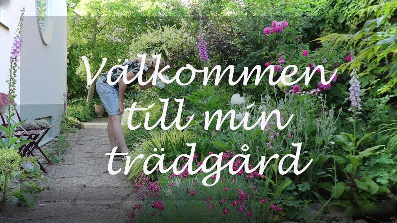 V&auml;lkommen till min tr&auml;dg&aring;rd