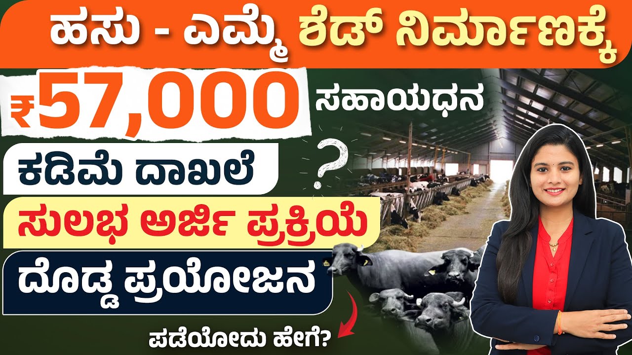ಸರ್ಕಾರದಿಂದ ರೈತರಿಗೆ ಸಿಗಲಿದೆ 57000 ರೂ | MGNREGA Cow Shed Subsidy 2025 | Government Scheme for Farmers