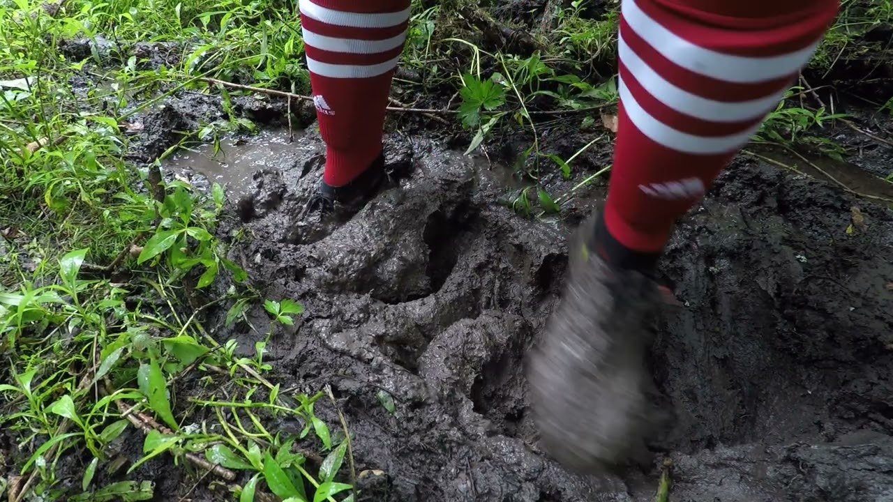Yellow Adidas Predator Muddy
