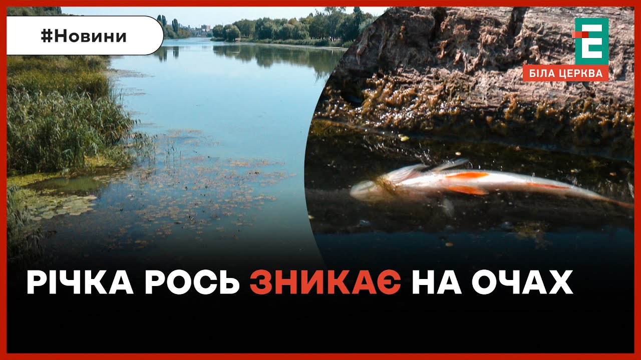 Врятувати річку Рось взялись у Міндовкіллі: чим загрожує критичне обміління?