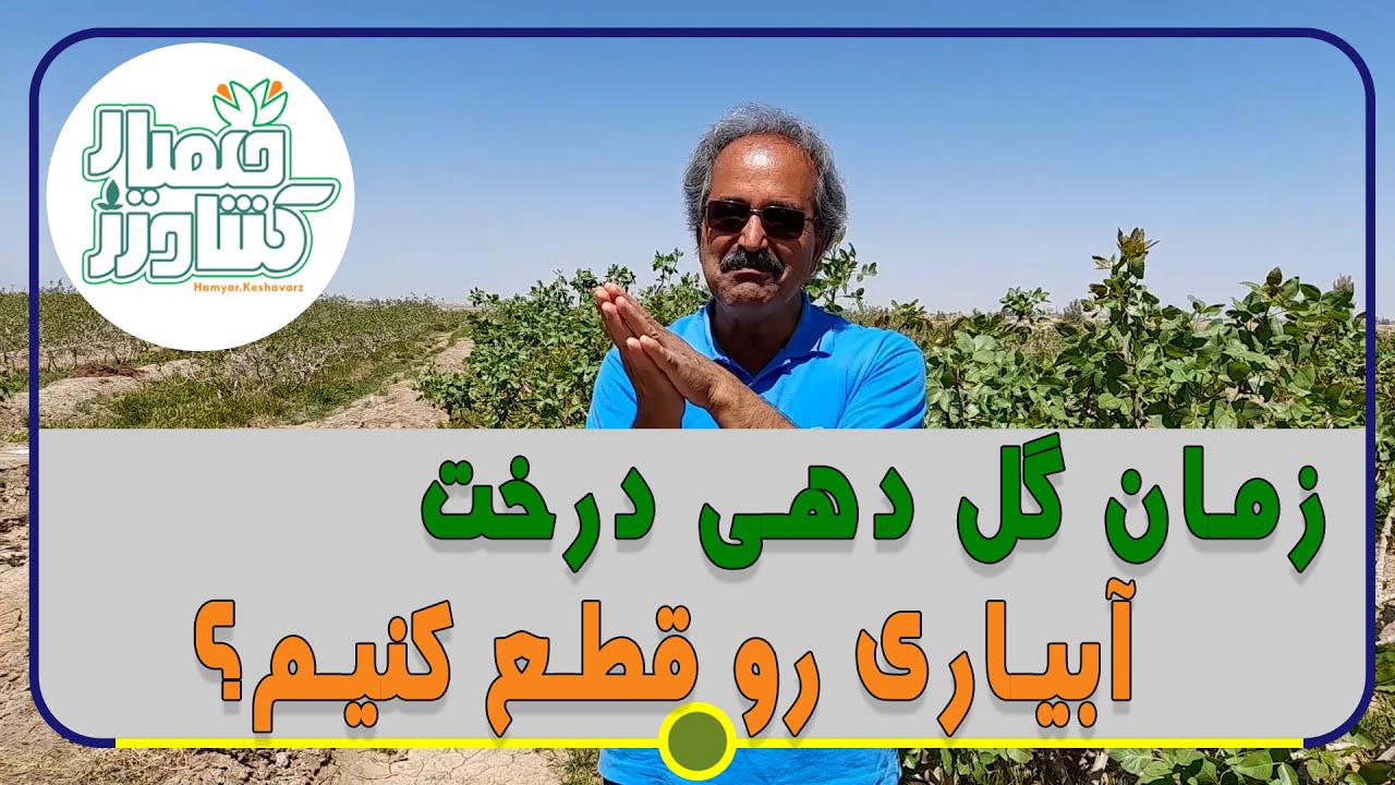 زمان گل دهی درخت آبیاری رو قطع کنیم؟