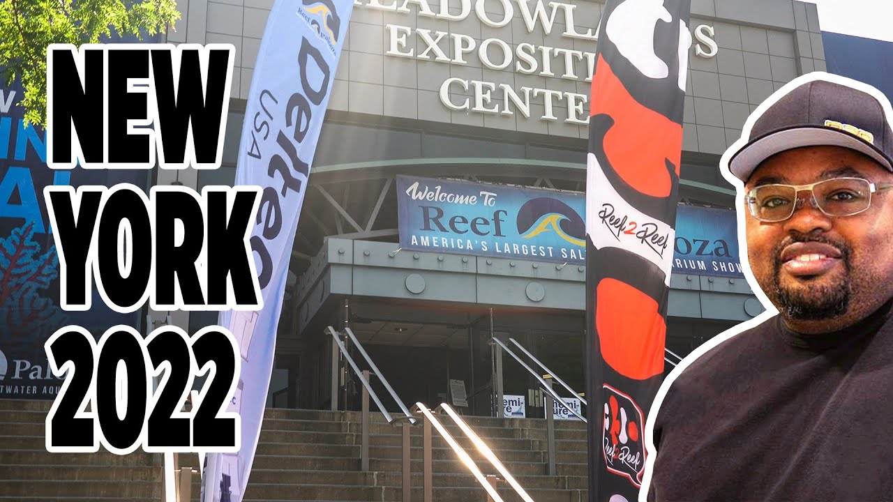 REEF-A-PALOOZA New York 2022 Recap