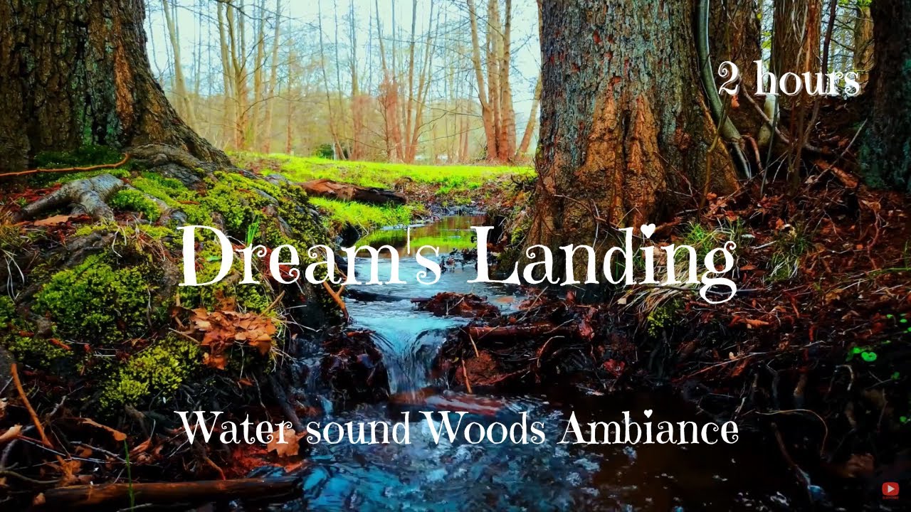 Suono rilassante dell'Acqua di un ruscello nel bosco per dormire con rumori d'ambiente - 2 Ore ASMR