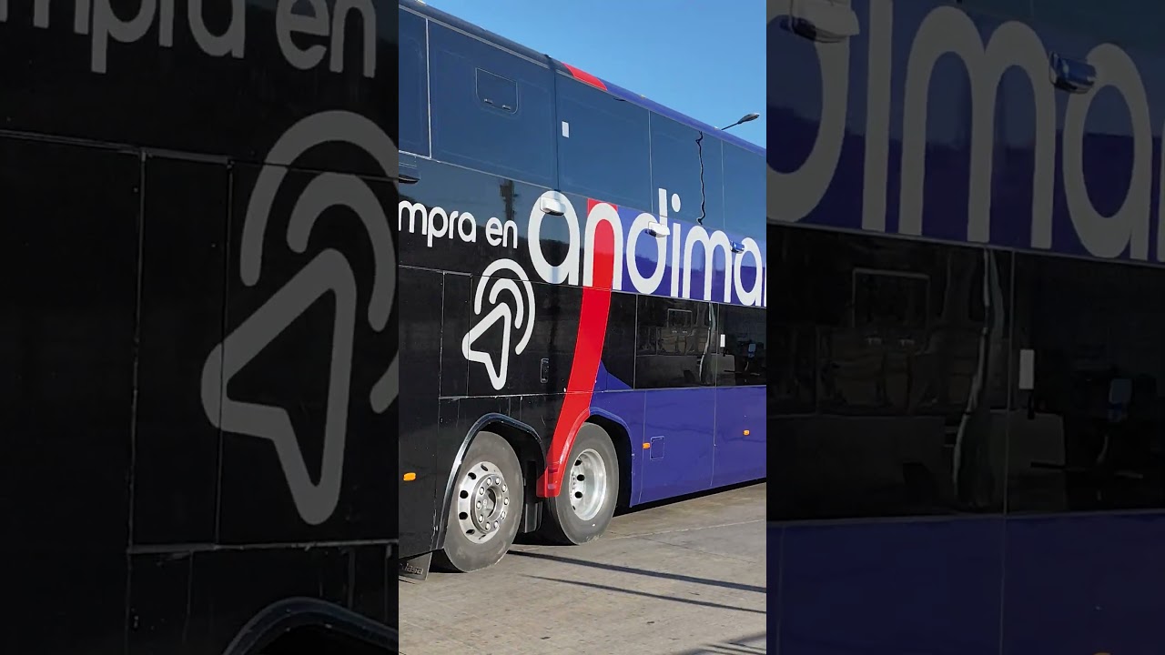 Modasa Zeus 5, Buses Andimar,Volvo B450R , semi cama-cama.