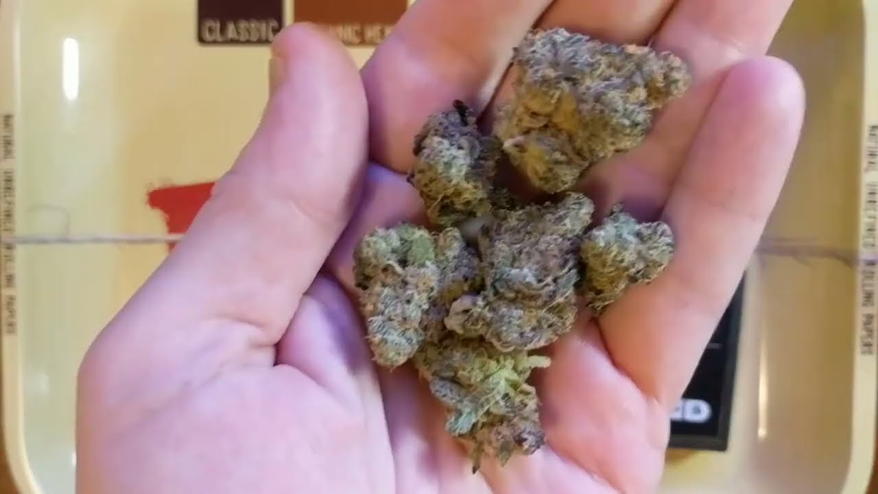 Bittersweet 25.6% Surterra