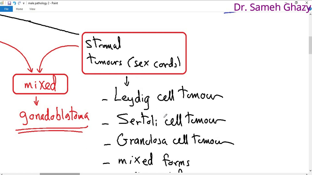 systemic pathology 57 : male genital system 1  ( tumors of testis ) أورام الخصية DR. SAMEH GHAZY