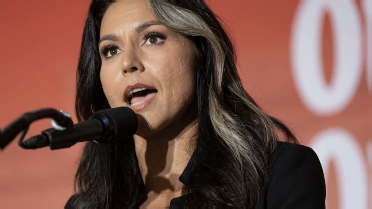 Ex-Presidential Candidate Tulsi Gabbard Claims TSA Retaliation by Placing Her on Terror Watch List