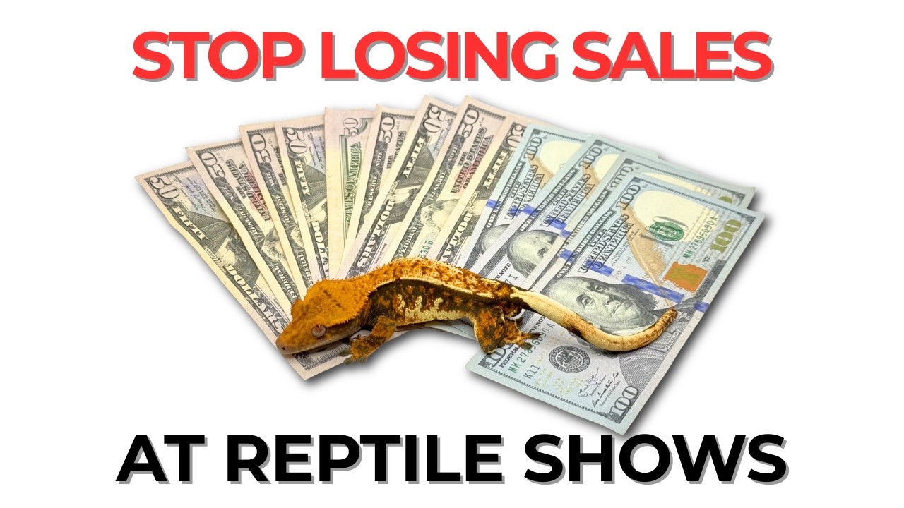 How to ACTUALLY SELL at Reptile Expos