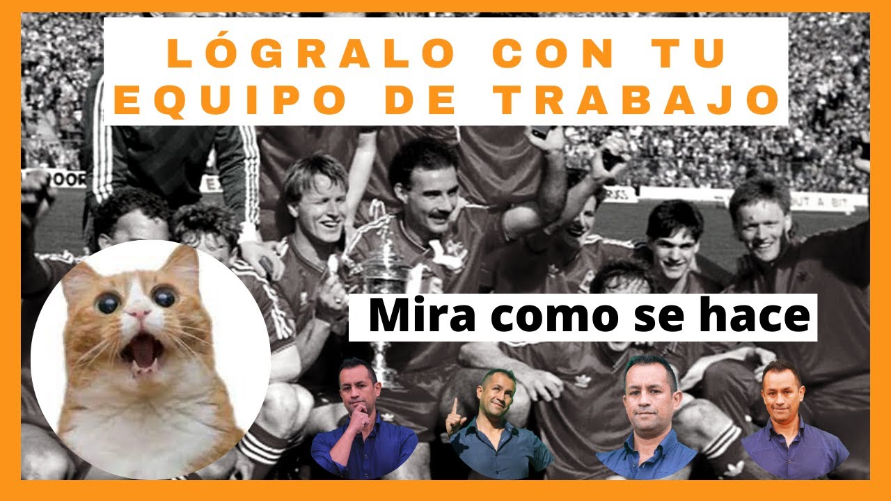 ❌que es sinergia en un equipo de trabajo: 3 estrategias reales para tu empresa y organización❌❌❌