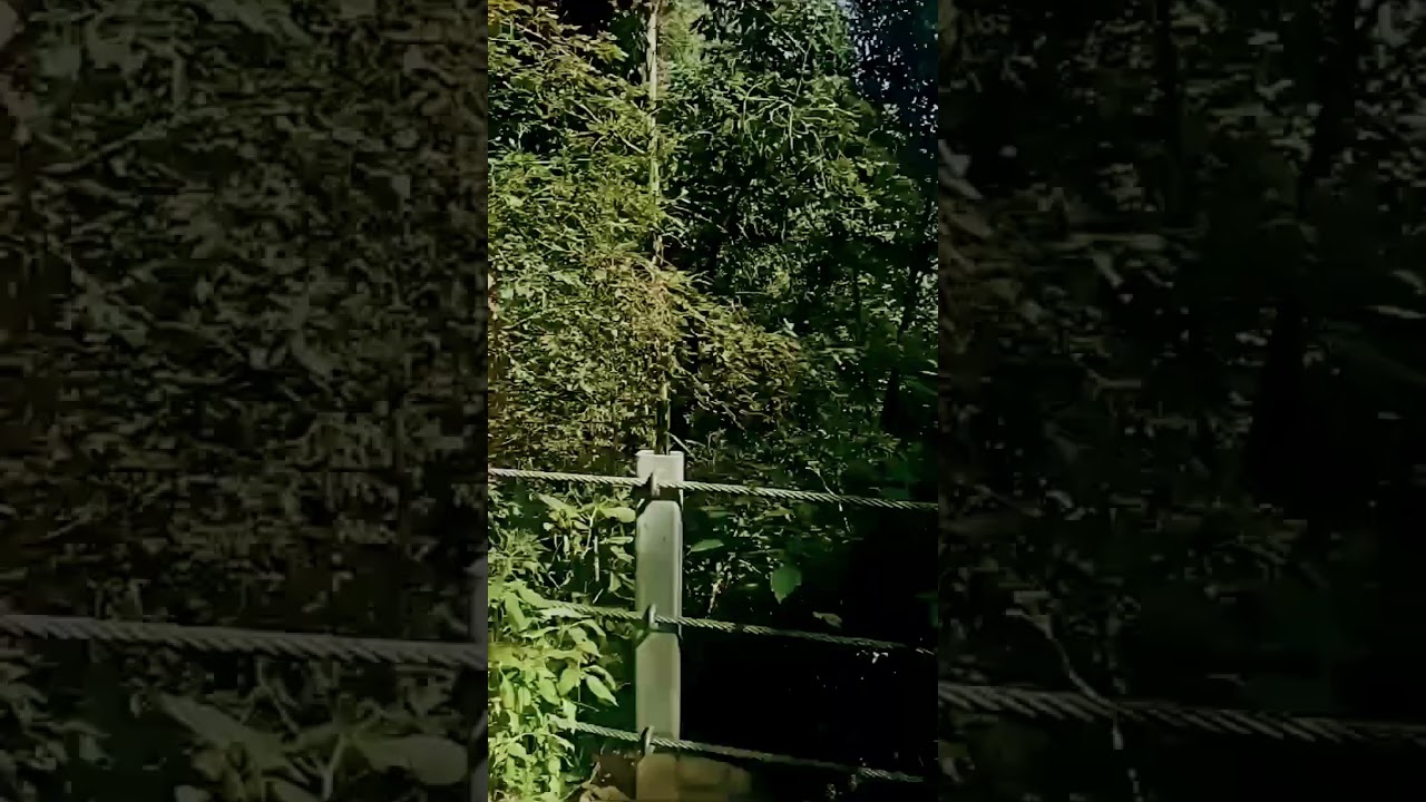 donga gali track dangerous 😳 ☠️ 🔥