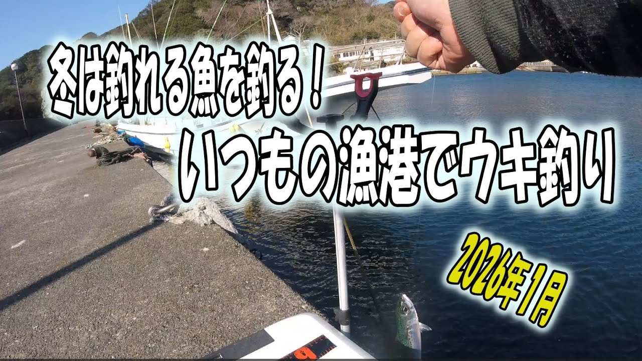 2026年１月　この時期は魚が釣れればいい？いつもの漁港でウキ釣り