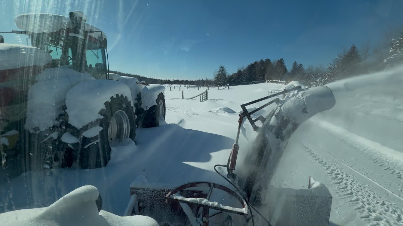 Blowing Snow and Cold Starts in a Polar Vortex! Also, DEF is COMPLETE JUNK!! 