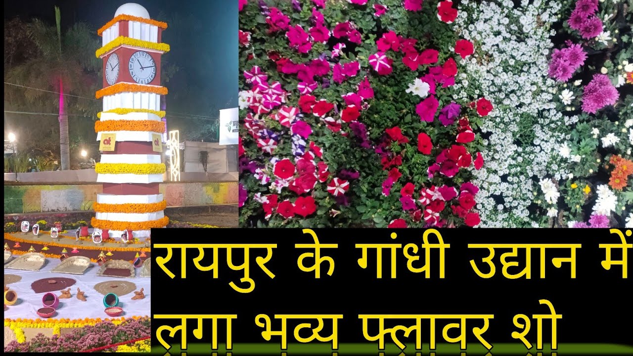 छत्तीसगढ़ के रायपुर के गांधी मैदान में लगा भव्य फ्लावर शो प्रकृति प्रेमियों के लिए#daily vlogs