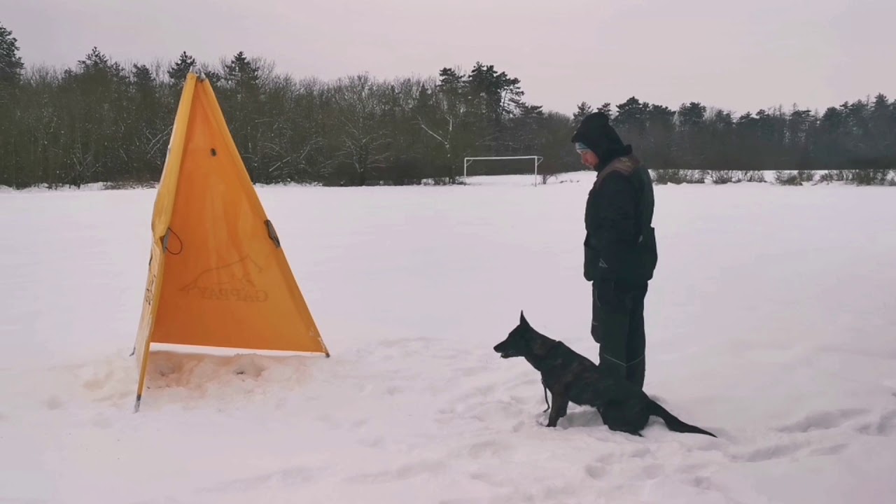One Devil von der Herdergang winter edition