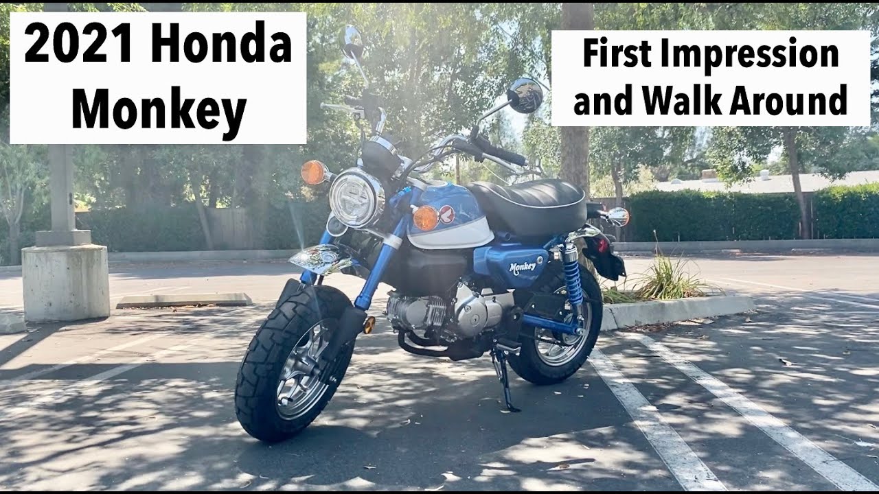 Honda Monkey First Impression and Walk Around (2021 Model)