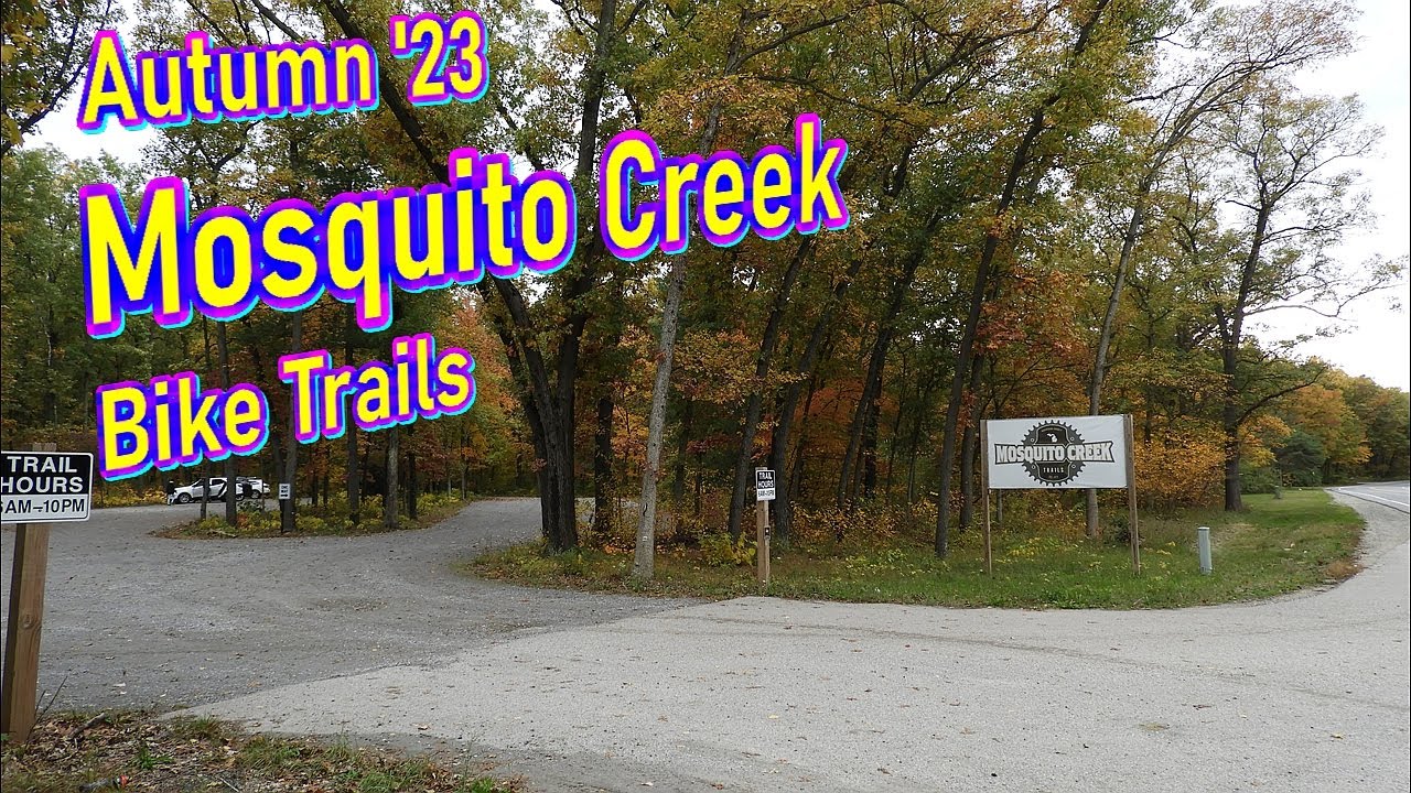 Mosquito Creek, Autumn '23