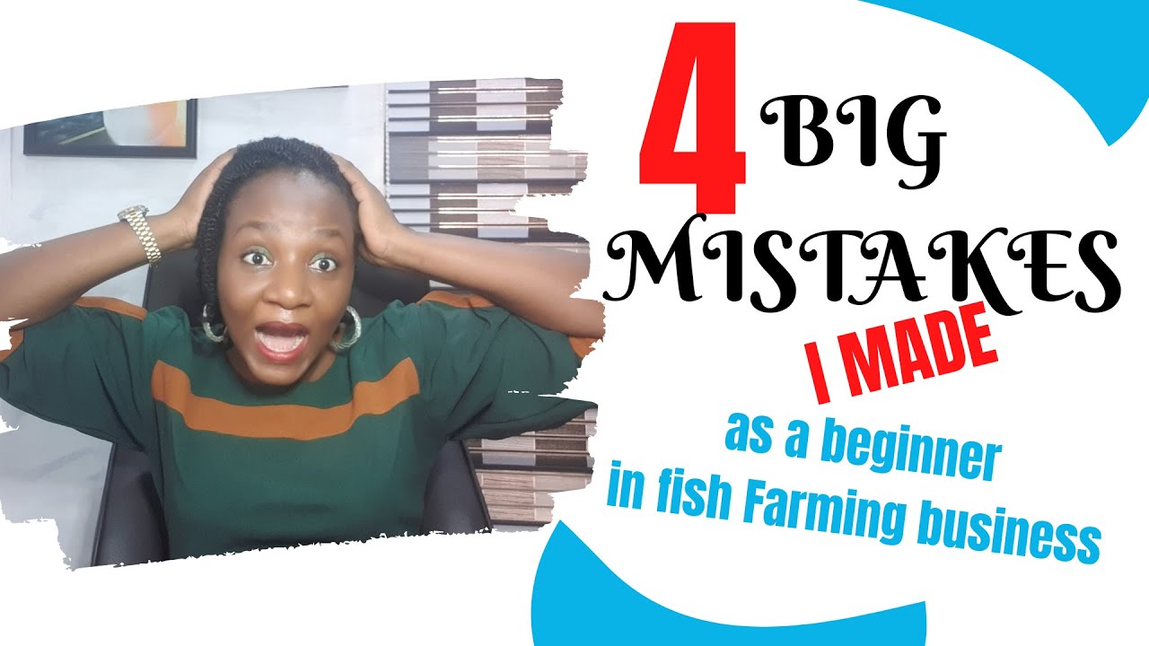 4 BIG MISTAKES I MADE AS A BIGINNER IN CATFISH FARMING BUSINESS