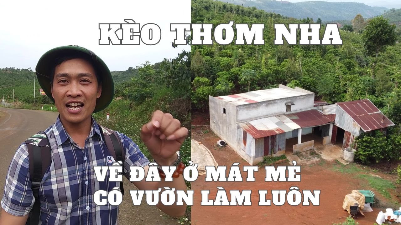 #DVD321 |  Đất Di Linh | Về đây vừa có nhà vừa có vườn quá tiện hơn 1 Tỷ