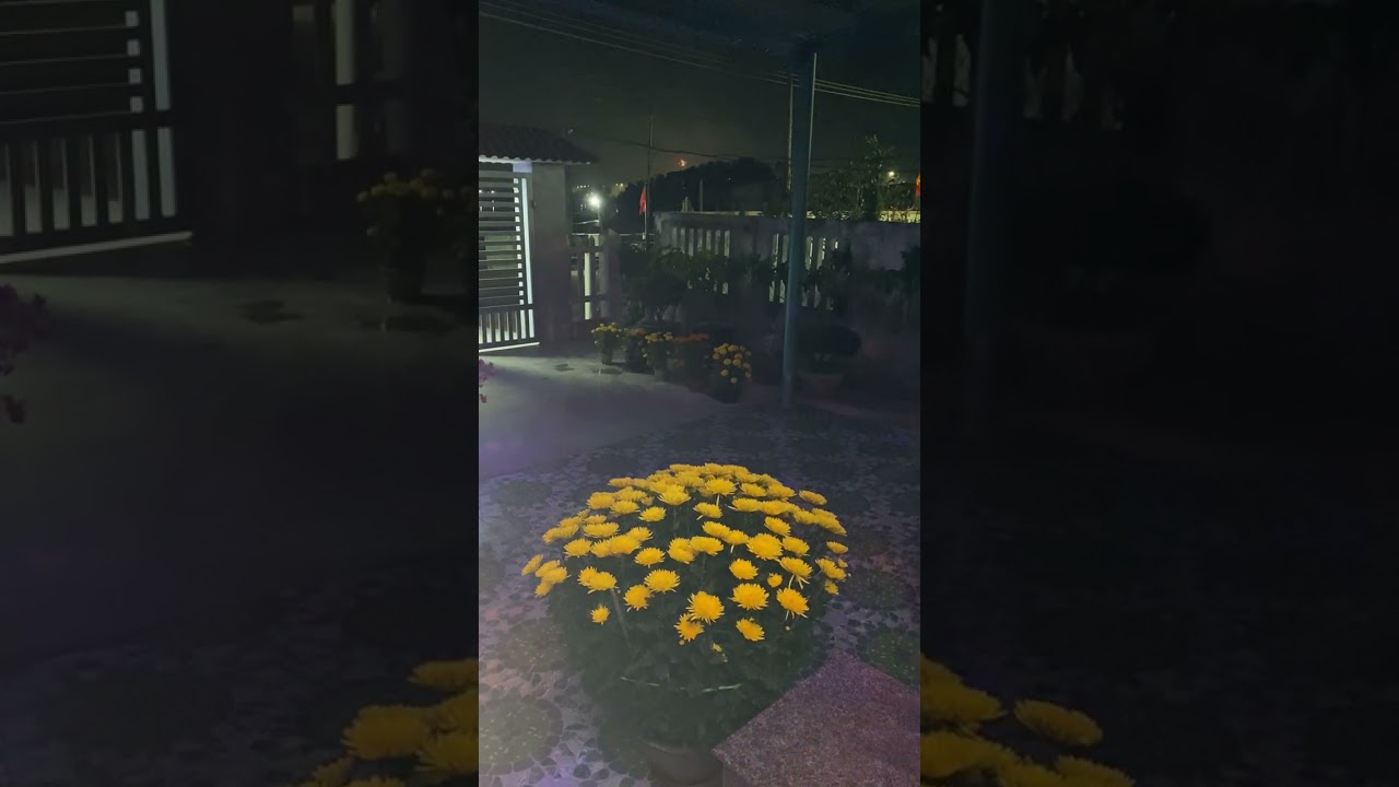 ngày 17 tháng 2, 2026