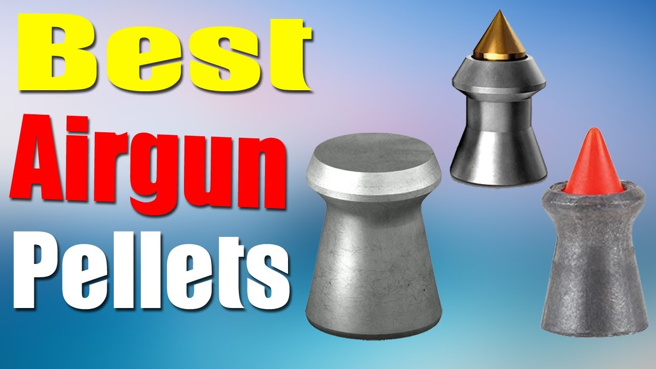 Top 10 Best Airgun Pellets for Hunting 2022