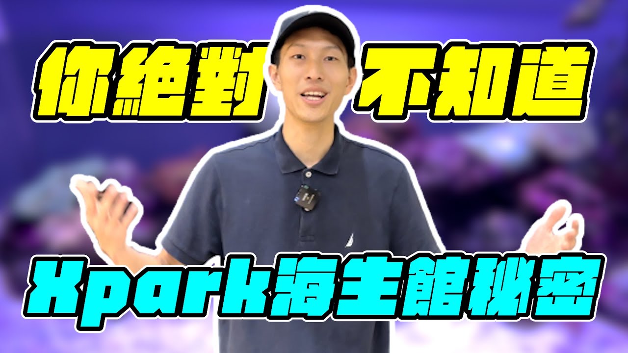 【藍箱水族】沒看過這支影片，別說你了解Xpark海洋館！絕對深度的介紹！帶大家一起逛逛在百貨公司裡的海生館！Taiwan Public aquarium in the department store