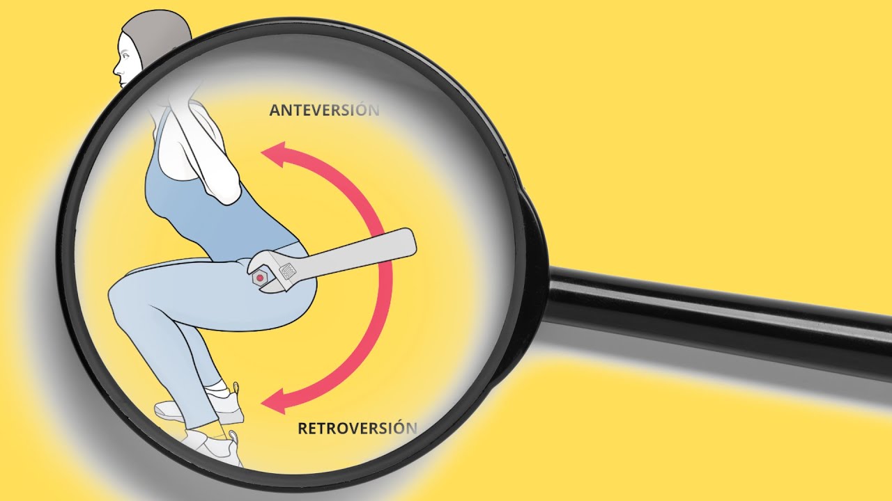 Anteversión y retroversión de la pelvis explicados. Diferencia con la flexión y ejercicios.