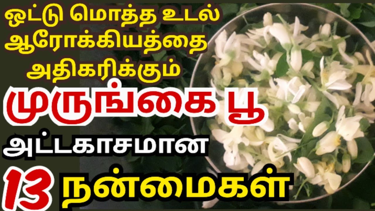 முருங்கை பூ நன்மைகள்/murungai poo powder benefits/moringa flower/Drumstick flower/நரம்பு பலம் பெற