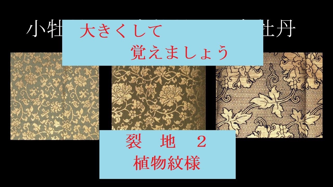大きくして覚えましょう　２　植物紋
