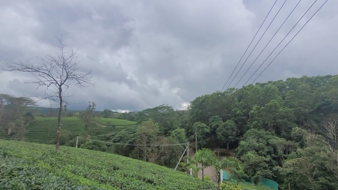 6 Acre land for sale near Mottakkunnu, Vagamon. Vagamon RealEstate. #vagamon
