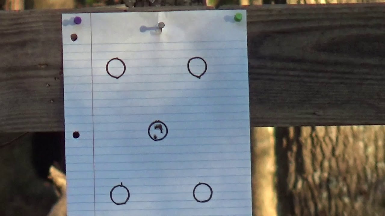 testing the pellets and scope on the Gamo Whisper pellet gun.