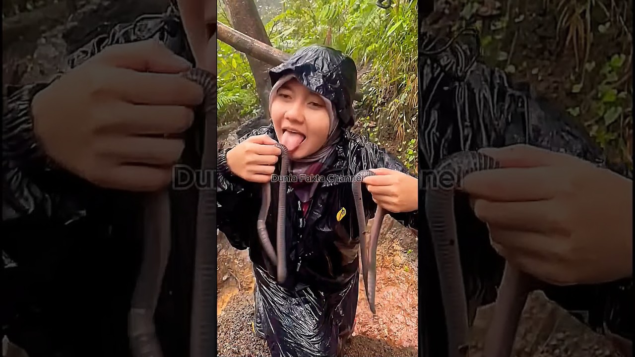 Cacing Sonari Gunung Gede Pangrango #animals #short