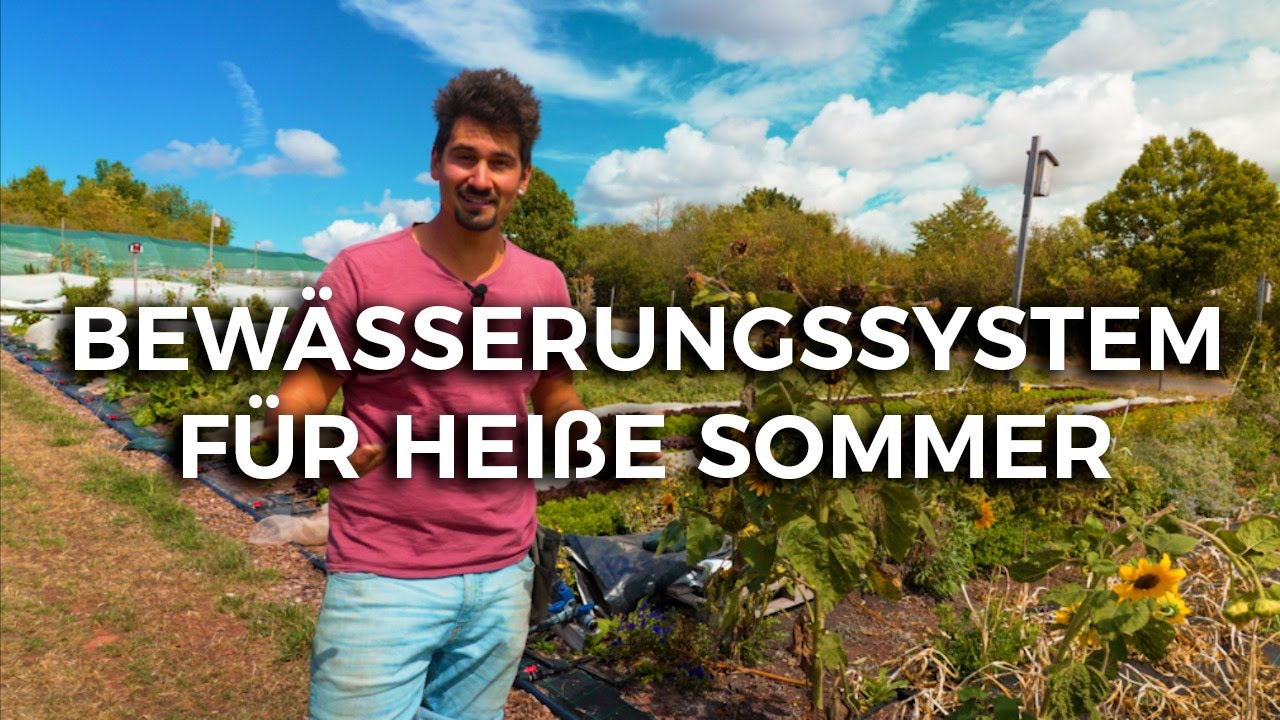 Unser Bewässerungssystem für heiße Sommer - Orfeas Fischer