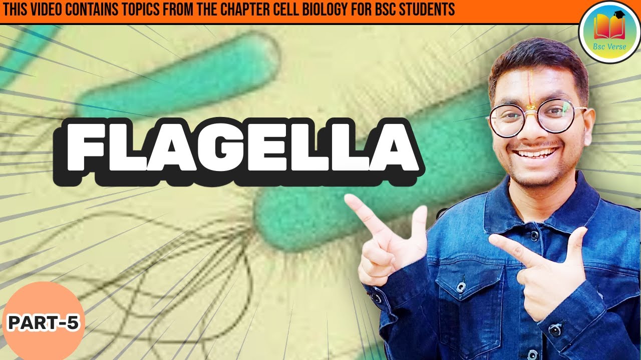 CELL BIOLOGY  - bacterial flagellum @BscVerse