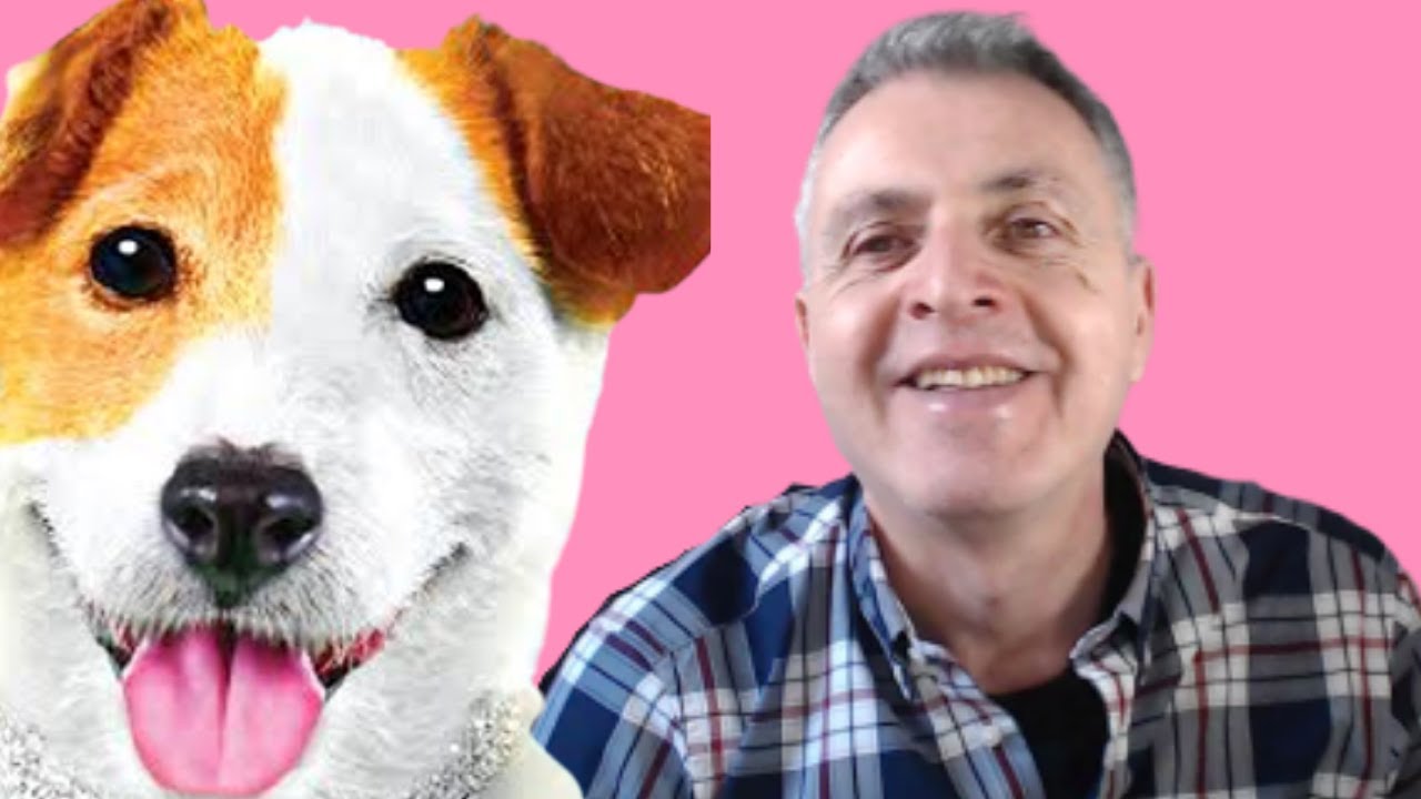 El PERRO m&aacute;s LISTO del mundo es ESPA&Ntilde;OL  😂