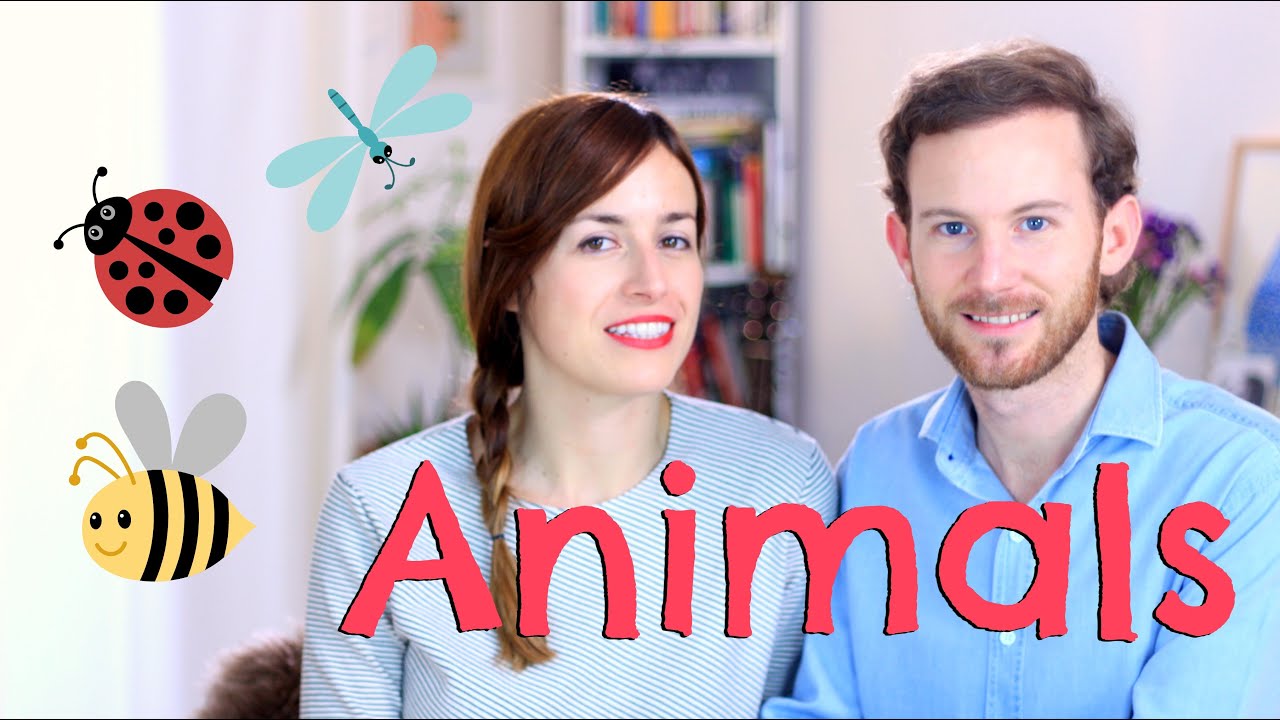 Vocabulario: ANIMALS - Clase de inglés - partes del cuerpo de los animales y expresiones