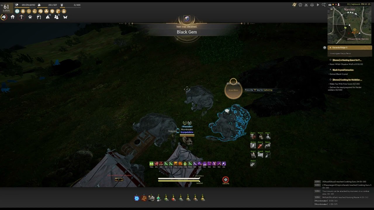 BDO | Grass Rhinos Hunting | 301 k/h | After 20% Buff and Elixir Change | ~650 mil/h | 1650 Mastery