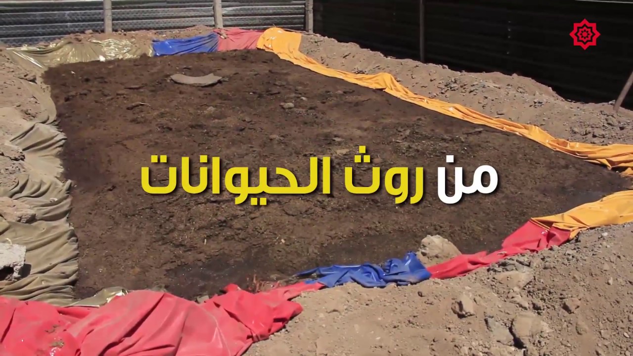 روث الحيوانات يغطي حاجة 4 ألاف عائلة من غاز الميثان #بالغوطة