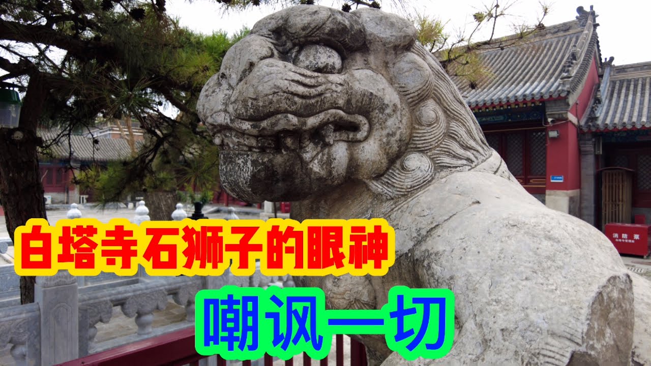 750岁的北京塔王，元大都中最高的建筑，表情怪异石狮是镇寺之宝