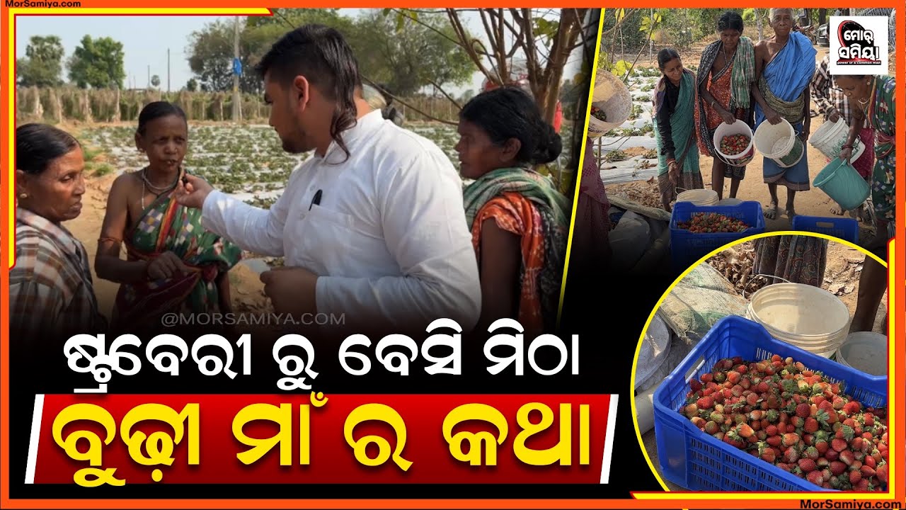 ଷ୍ଟ୍ରବେରୀ ରୁ ମିଠା ବୁଢ଼ୀ ମାଁ ମାନଙ୍କର କଥା 