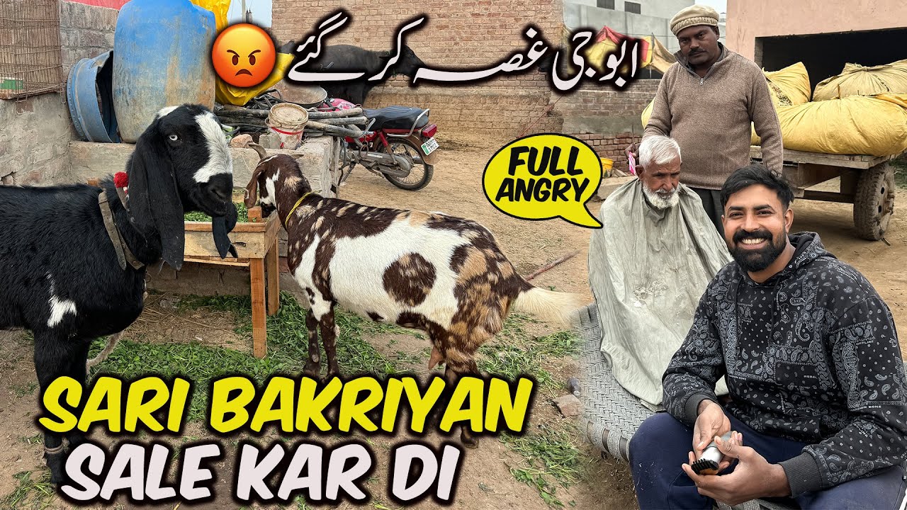 AJ SARI BAKRIYAN SALE KAR DI 😲 | ABU G GUSSA HO GAYE 😡