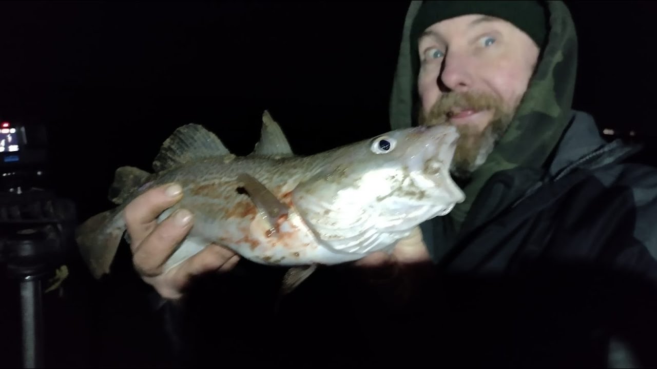 sea fishing, prestatyn, north wales , with a surprise Codling