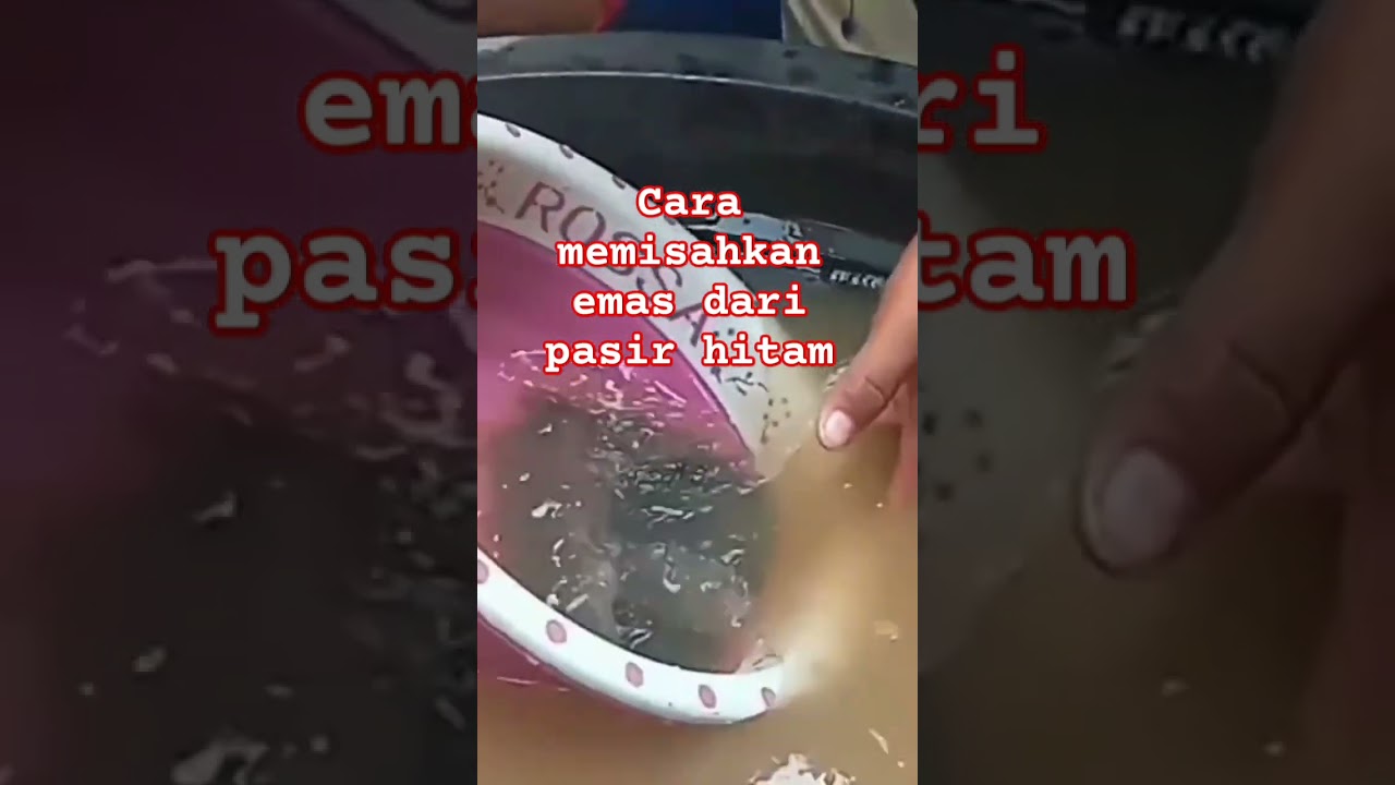 cara memisahkan emas dari pasir#funny #ikan #mendulangemas #emas #tutorial #fypシ゚viral
